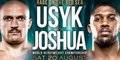 Бокс / Усик - Джошуа / Бой-реванш за титулы IBF, IBO, WBO, WBA